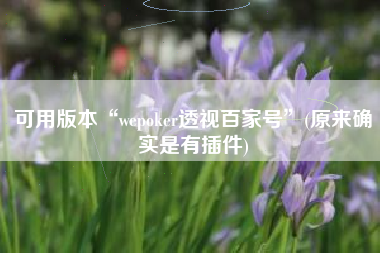 可用版本“wepoker透视百家号”(原来确实是有插件)