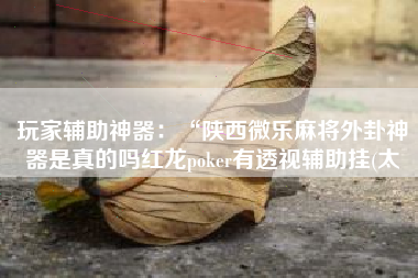 玩家辅助神器：“陕西微乐麻将外卦神器是真的吗红龙poker有透视辅助挂(太