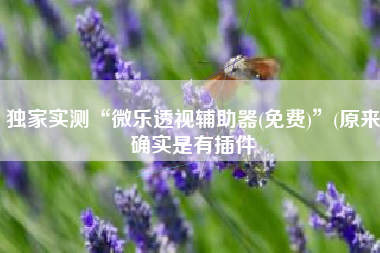 独家实测“微乐透视辅助器(免费)	”(原来确实是有插件