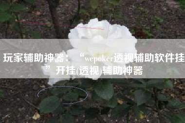 玩家辅助神器：“wepoker透视辅助软件挂”开挂(透视)辅助神器