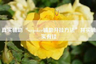 真实辅助“wepoker辅助开挂方法”其实确实有挂