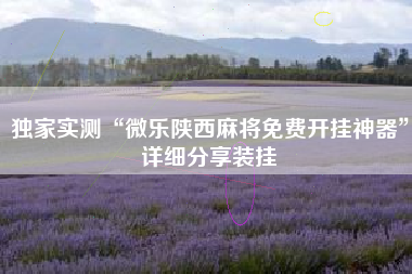 独家实测“微乐陕西麻将免费开挂神器”详细分享装挂