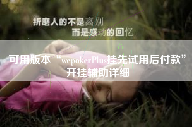 可用版本“wepokerPlus挂先试用后付款”开挂辅助详细