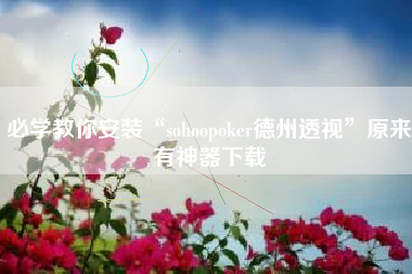 必学教你安装“sohoopoker德州透视”原来有神器下载