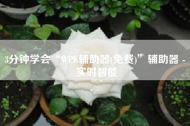 3分钟学会“WPK辅助器(免费)”辅助器 - 实时智能