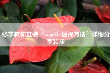 必学教你安装“wepoker透视方法”详细分享装挂