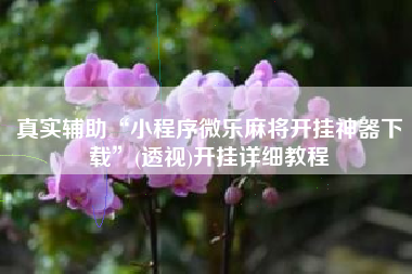 真实辅助“小程序微乐麻将开挂神器下载”(透视)开挂详细教程