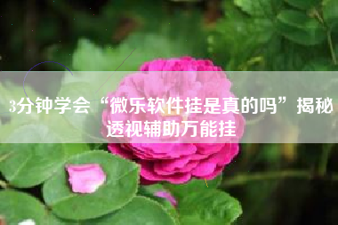 3分钟学会“微乐软件挂是真的吗	”揭秘透视辅助万能挂