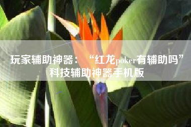 玩家辅助神器：“红龙poker有辅助吗	”科技辅助神器手机版