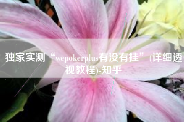 独家实测“wepokerplus有没有挂	”(详细透视教程)-知乎