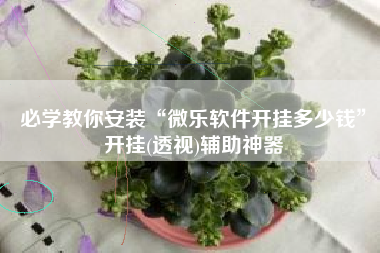 必学教你安装“微乐软件开挂多少钱”开挂(透视)辅助神器
