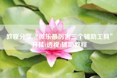 教程分享“微乐最厉害三个辅助工具	”开挂(透视)辅助教程