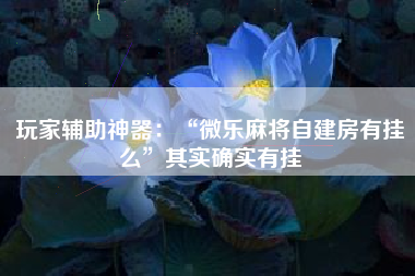 玩家辅助神器：“微乐麻将自建房有挂么”其实确实有挂