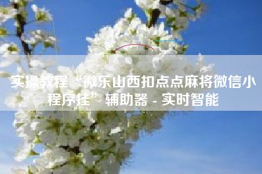 实操教程“微乐山西扣点点麻将微信小程序挂”辅助器 - 实时智能