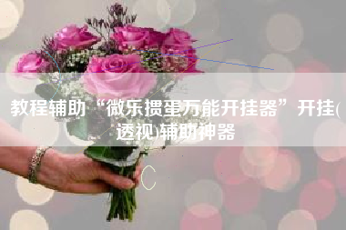 教程辅助“微乐掼蛋万能开挂器”开挂(透视)辅助神器