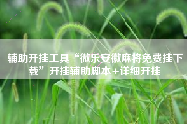 辅助开挂工具“微乐安徽麻将免费挂下载	”开挂辅助脚本+详细开挂