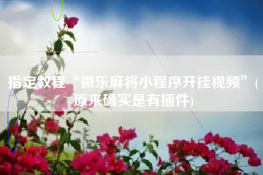 指定教程“微乐麻将小程序开挂视频	”(原来确实是有插件)