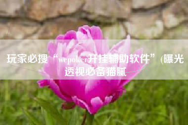 玩家必搜“wepoker开挂辅助软件”(曝光透视必备猫腻