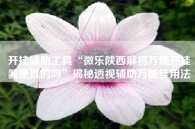 开挂辅助工具“微乐陕西麻将万能开挂器是真的吗”揭秘透视辅助万能挂用法