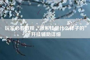 玩家必看教程“微乐挂是什么样子的	”开挂辅助详细