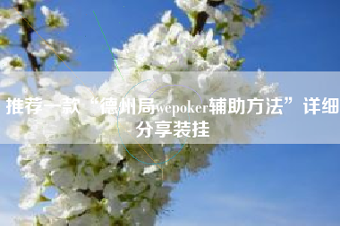 推荐一款“德州局wepoker辅助方法”详细分享装挂