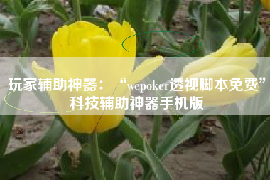 玩家辅助神器：“wepoker透视脚本免费”科技辅助神器手机版