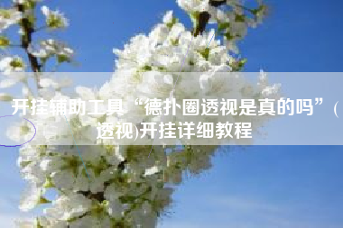 开挂辅助工具“德扑圈透视是真的吗	”(透视)开挂详细教程