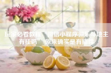 玩家必看教程“微信小程序微乐斗地主有挂吗	”(原来确实是有插件