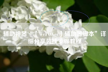 辅助神器“【WePOKer】辅助器脚本”详细分享装挂步骤教程