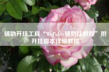 辅助开挂工具“WePoker辅助挂教程	”附开挂脚本详细教程