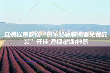 安装程序教程“微乐必赢辅助器免费安装”开挂(透视)辅助神器