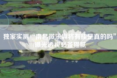 独家实测“南昌微乐麻将有挂是真的吗”(曝光透视必备猫腻