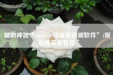 辅助神器“wepoker轻量版透视软件”(原来确实是有挂)