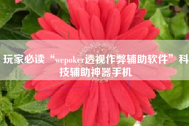 玩家必读“wepoker透视作弊辅助软件”科技辅助神器手机