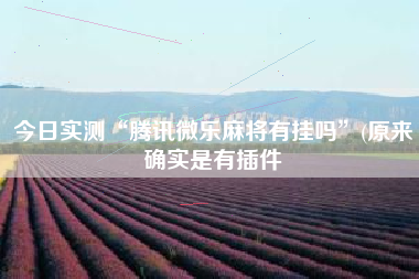 今日实测“腾讯微乐麻将有挂吗”(原来确实是有插件