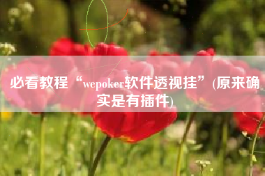 必看教程“wepoker软件透视挂	”(原来确实是有插件)