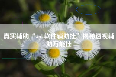 真实辅助“wpk软件辅助挂”揭秘透视辅助万能挂