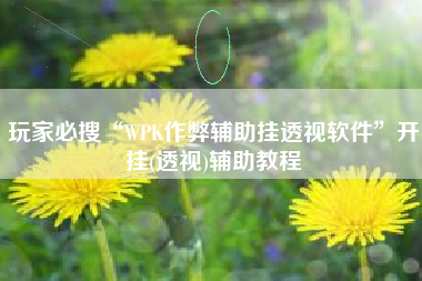 玩家必搜“WPK作弊辅助挂透视软件	”开挂(透视)辅助教程