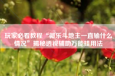 玩家必看教程“微乐斗地主一直输什么情况	”揭秘透视辅助万能挂用法