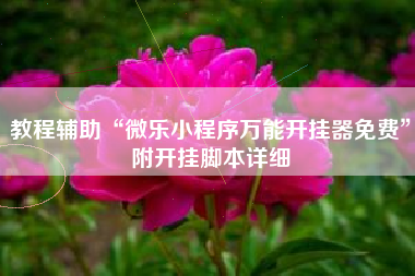 教程辅助“微乐小程序万能开挂器免费”附开挂脚本详细