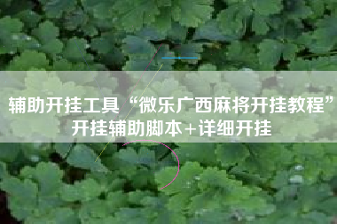 辅助开挂工具“微乐广西麻将开挂教程”开挂辅助脚本+详细开挂