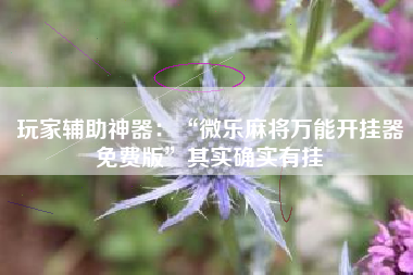 玩家辅助神器：“微乐麻将万能开挂器免费版”其实确实有挂