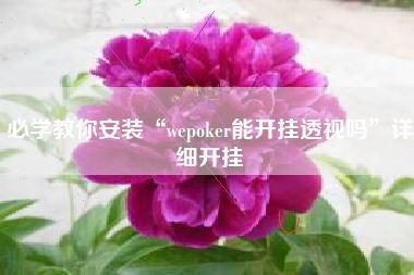 必学教你安装“wepoker能开挂透视吗	”详细开挂
