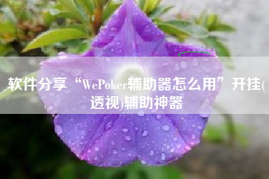 软件分享“WePoker辅助器怎么用	”开挂(透视)辅助神器