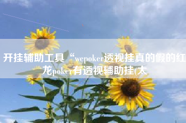 开挂辅助工具“wepoker透视挂真的假的红龙poker有透视辅助挂(太