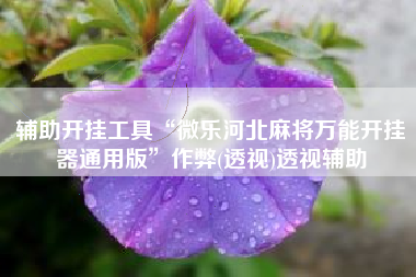 辅助开挂工具“微乐河北麻将万能开挂器通用版	”作弊(透视)透视辅助