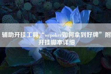 辅助开挂工具“wepoker如何拿到好牌”附开挂脚本详细