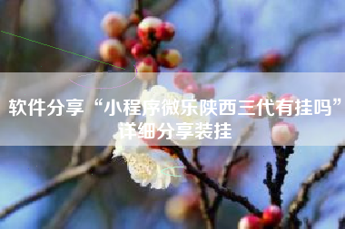 软件分享“小程序微乐陕西三代有挂吗”详细分享装挂