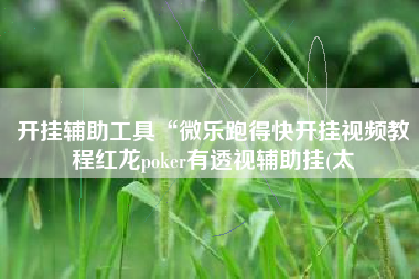 开挂辅助工具“微乐跑得快开挂视频教程红龙poker有透视辅助挂(太 开挂辅助工具“微乐跑得快开挂视频教程红龙poker有透视辅助挂(太