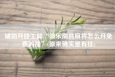 辅助开挂工具“微乐南昌麻将怎么开免费的挂”(原来确实是有挂)